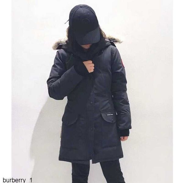 bomber jacket womens canada trillium real wolf designer big fur trim cg hooded female down goode four pockets warm coat p a2djdo6p, Black
bomber jacket womens canada trillium real wolf designer big fur trim cg hooded female down goode four pockets warm coat p a2djdo6p, Black