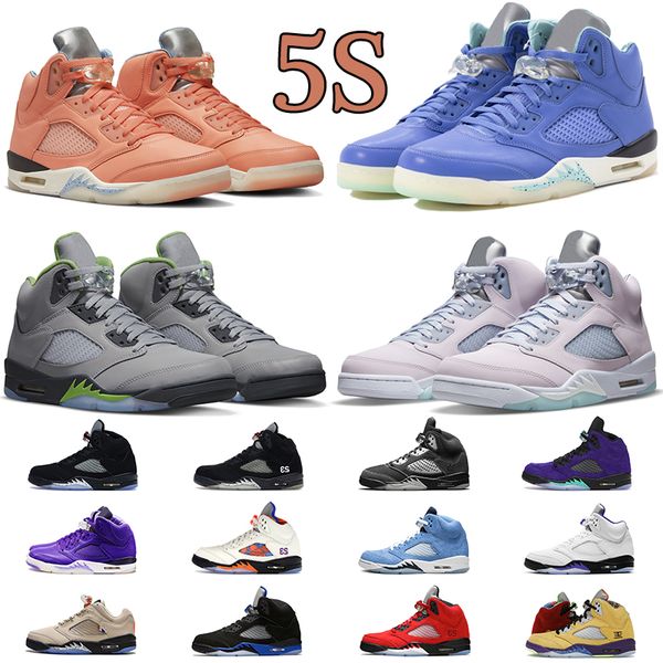 5 5s jumpman basketball shoes men women sport sneaker we the court purple easter black metallic concord unc mens sneaker trainers
5 5s jumpman basketball shoes men women sport sneaker we the court purple easter black metallic concord unc mens sneaker trainers