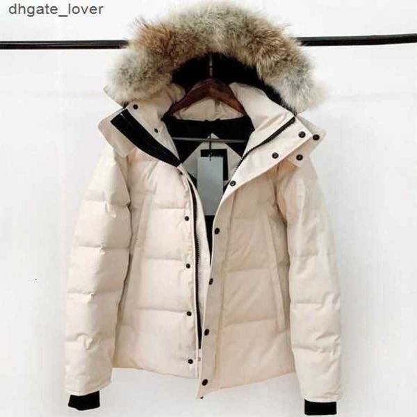 designer luxury goosie down jacket fur ruff cg winter fit warm canadas men white goosing coat exterior pockets zipper stretch rib cuffzswi, Black
designer luxury goosie down jacket fur ruff cg winter fit warm canadas men white goosing coat exterior pockets zipper stretch rib cuffzswi, Black
