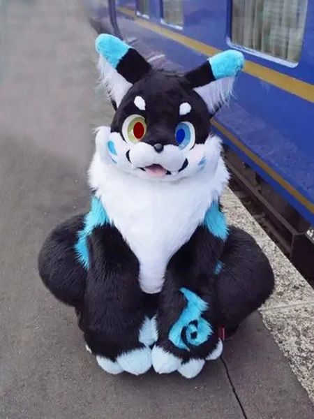 long fur husky dog fox mascot costumes cartoon mascot apparel performance carnival size promotional advertising clothings, Red;yellow
long fur husky dog fox mascot costumes cartoon mascot apparel performance carnival size promotional advertising clothings, Red;yellow