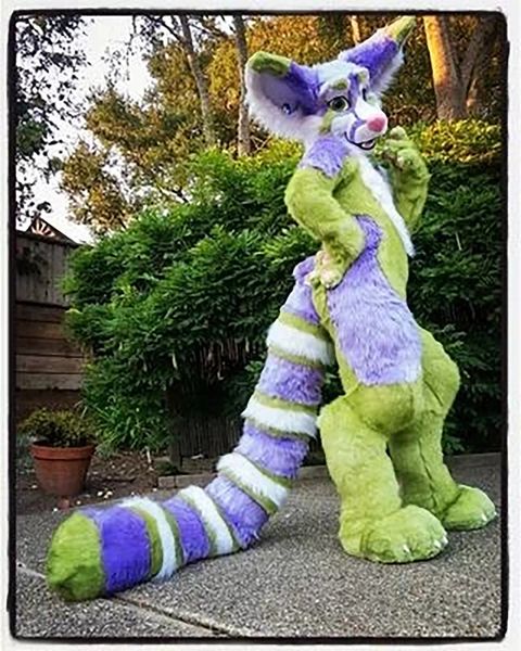 factory direct sell long tail fox wolf fursuit mascot costume fancy dress all sizes brand new complete suit, Red;yellow
factory direct sell long tail fox wolf fursuit mascot costume fancy dress all sizes brand new complete suit, Red;yellow