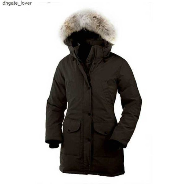 bomber jacket womens canada trillium real wolf designer big fur trim cg hooded female down goode four pockets warm coat parkas xquo, Black
bomber jacket womens canada trillium real wolf designer big fur trim cg hooded female down goode four pockets warm coat parkas xquo, Black