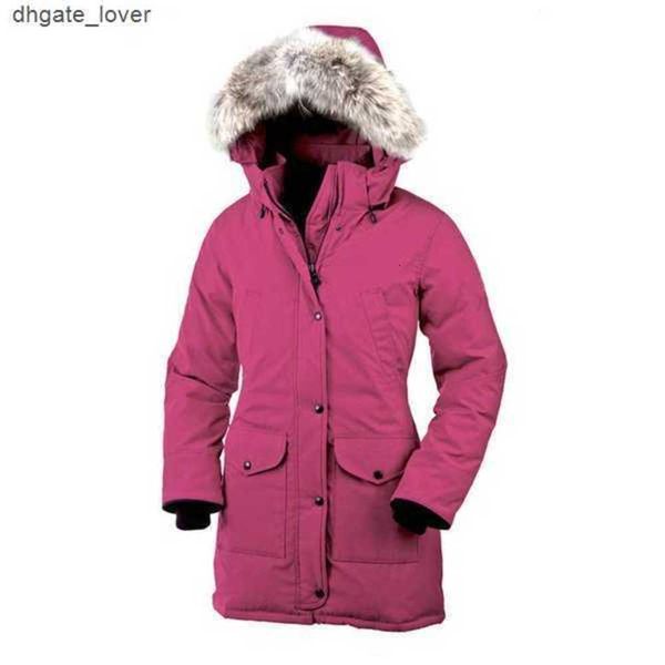 bomber jacket womens canada trillium real wolf designer big fur trim cg hooded female down goode four pockets warm coat parkas j28p, Black
bomber jacket womens canada trillium real wolf designer big fur trim cg hooded female down goode four pockets warm coat parkas j28p, Black