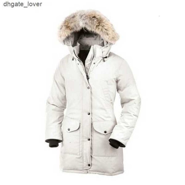 bomber jacket womens canada trillium real wolf designer big fur trim cg hooded female down goode four pockets warm coat parkas uysf, Black
bomber jacket womens canada trillium real wolf designer big fur trim cg hooded female down goode four pockets warm coat parkas uysf, Black