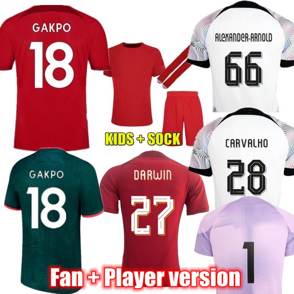 gakpo darwin soccer jerseys 2022-23 fan player version luis diaz carvalho elliott home red away football shirts 3rd men kids soccer kits uni, Black
gakpo darwin soccer jerseys 2022-23 fan player version luis diaz carvalho elliott home red away football shirts 3rd men kids soccer kits uni, Black