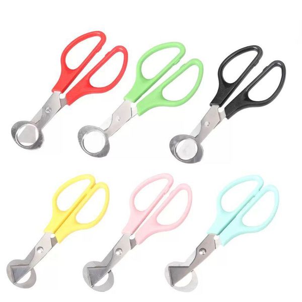 egg tools ups quail egg tools scissors fresh bird stainless steel cutters opener shell utensils for kitchen drop delivery 2022 home dhn0n
egg tools ups quail egg tools scissors fresh bird stainless steel cutters opener shell utensils for kitchen drop delivery 2022 home dhn0n