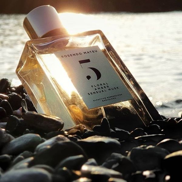 rosendo neutral perfume 100ml mateu olfactive expressions r n5 floral amber sensual musk fragrance long lasting smell edp men women parfum c
rosendo neutral perfume 100ml mateu olfactive expressions r n5 floral amber sensual musk fragrance long lasting smell edp men women parfum c