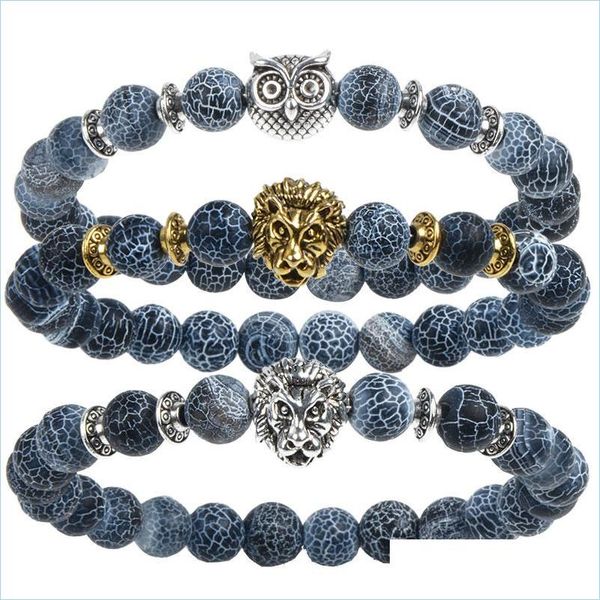 beaded leopard tiger eye lion head bracelet owl buddha beads bracelets bangles charm natural stone yoga jewelry men women drop delive dhnhi, Black
beaded leopard tiger eye lion head bracelet owl buddha beads bracelets bangles charm natural stone yoga jewelry men women drop delive dhnhi, Black