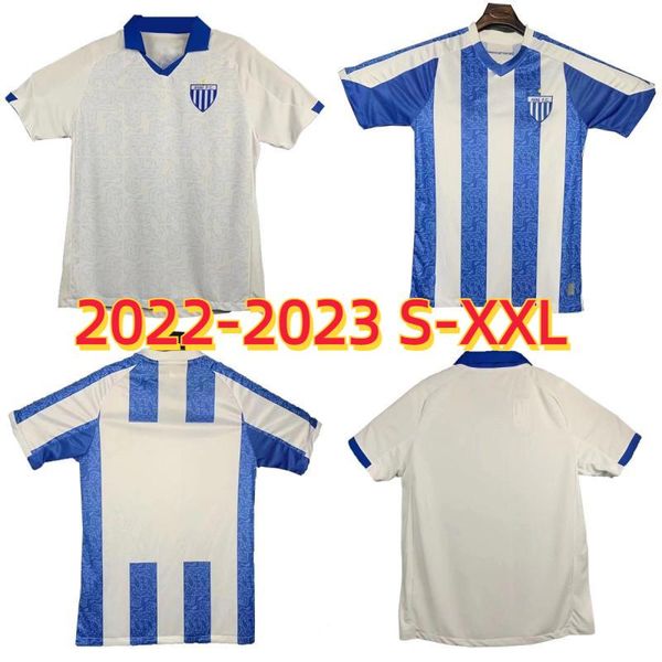 2022 2023 avai fc soccer jerseys renato rumulo 22 23 mens kevin raniele eduardo home away man football shirt short uniforms s-2xl, Black
2022 2023 avai fc soccer jerseys renato rumulo 22 23 mens kevin raniele eduardo home away man football shirt short uniforms s-2xl, Black
