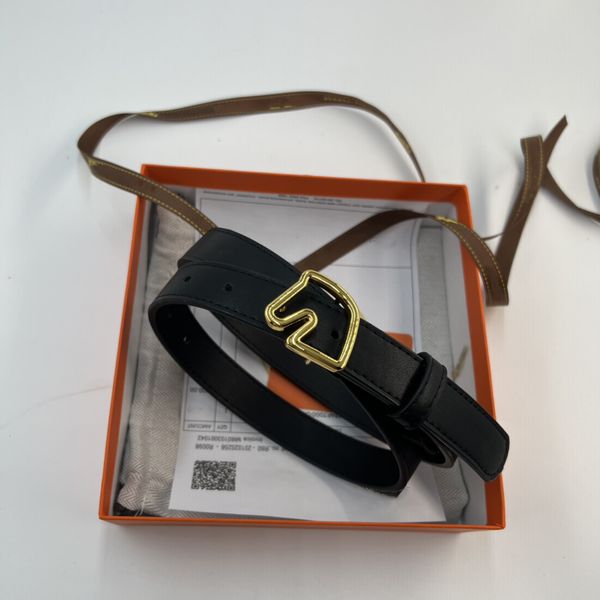 designers belt solid color luxury belts for women classic belt texture vintage pin needle buckle beltss 5colors width 2.5 cm size 100-110cm, Black;brown
designers belt solid color luxury belts for women classic belt texture vintage pin needle buckle beltss 5colors width 2.5 cm size 100-110cm, Black;brown