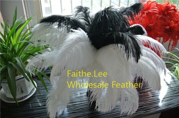 200pcslot 1416inch 3540cm black and white ostrich feather plumes for wedding centerpiece wedding party table centerpiece9849133
200pcslot 1416inch 3540cm black and white ostrich feather plumes for wedding centerpiece wedding party table centerpiece9849133