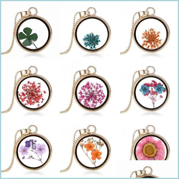 pendant necklaces creative clovers gold plated mticolor dried flower round pendant clover floating locket charms necklace for woman dhqpt, Silver
pendant necklaces creative clovers gold plated mticolor dried flower round pendant clover floating locket charms necklace for woman dhqpt, Silver