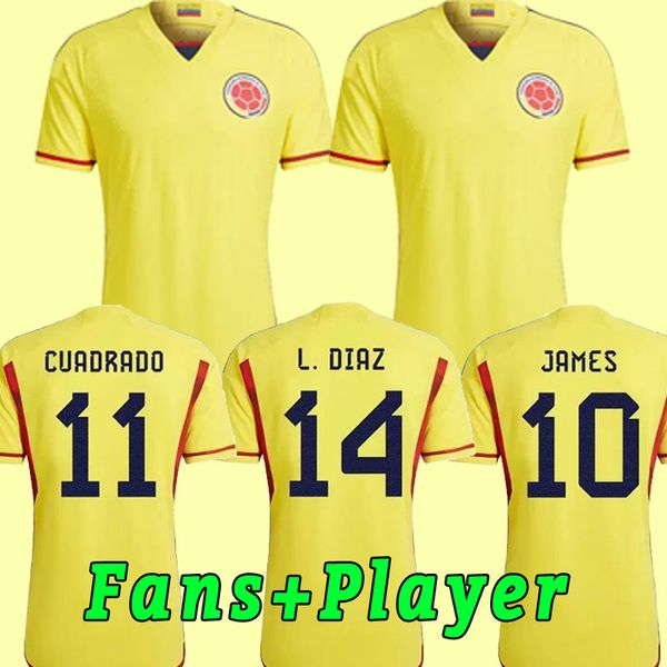 2022 colombia #10 james soccer jerseys 22/23 home #9 falcao #11 cuadrad shirt guarin duvan .diaz sanchez national team valderrama football, Black;yellow
2022 colombia #10 james soccer jerseys 22/23 home #9 falcao #11 cuadrad shirt guarin duvan .diaz sanchez national team valderrama football, Black;yellow