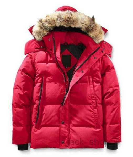 canada men's down parkas men winter coats jassen chaquetas outerwear wolf fur hoodeds manteaus goose 3 hnry, Black
canada men's down parkas men winter coats jassen chaquetas outerwear wolf fur hoodeds manteaus goose 3 hnry, Black