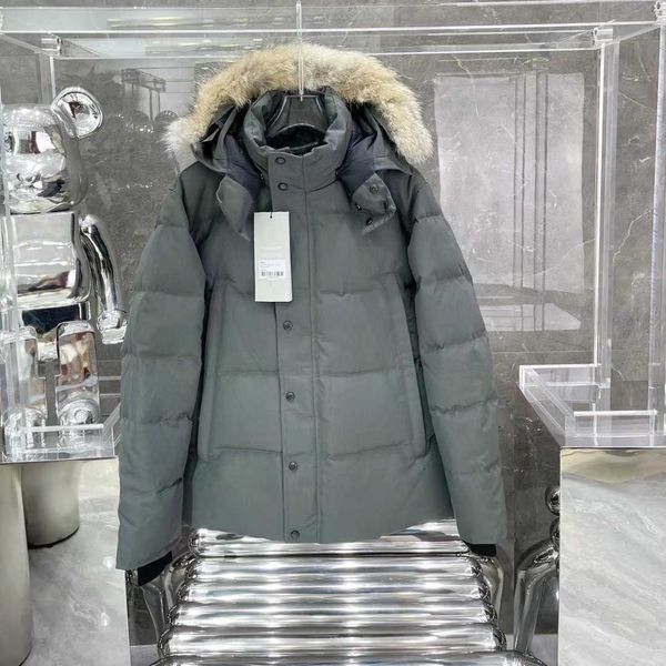 designer luxury goosie down jacket fur ruff men cg winter fit warm canadas men white goosing coat exterior pockets zipper stretch rib cuff t, Black
designer luxury goosie down jacket fur ruff men cg winter fit warm canadas men white goosing coat exterior pockets zipper stretch rib cuff t, Black