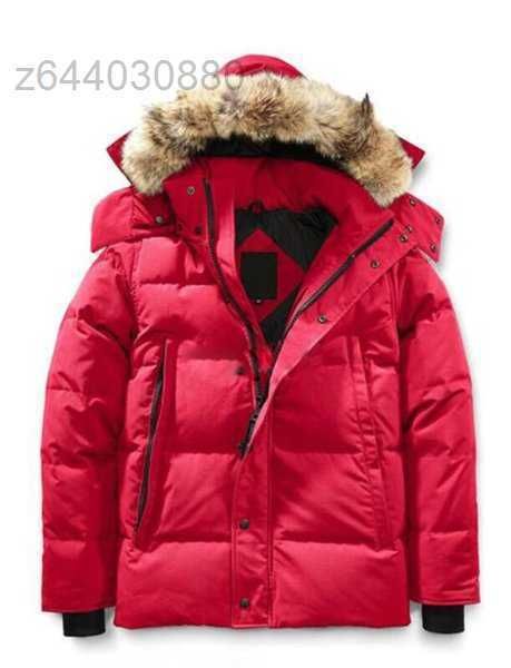 moose down parkas fourrure parka homme jassen chaquetas outerwear wolf fur hooded manteau canada jacket coat hiver doudoune 2 scissors 46tf, Black
moose down parkas fourrure parka homme jassen chaquetas outerwear wolf fur hooded manteau canada jacket coat hiver doudoune 2 scissors 46tf, Black