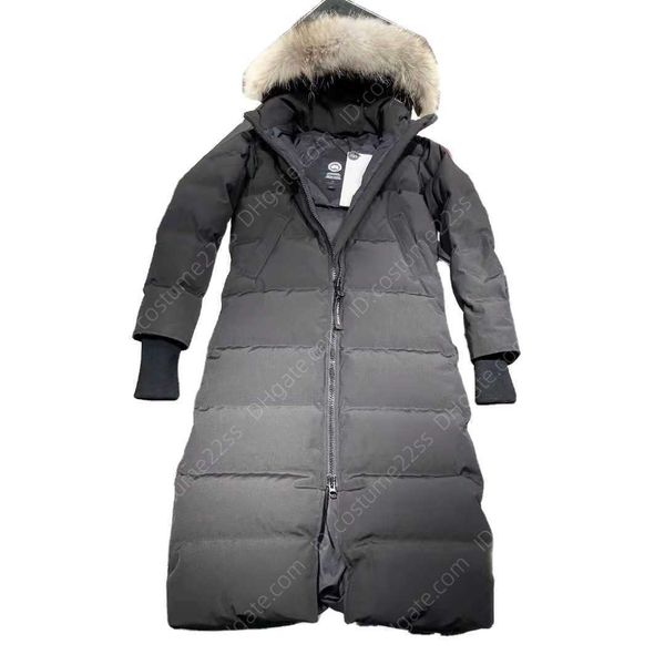 down down jacket jackets mys hooded winter clothes brands goose mystique women coat canada outdoor, Black
down down jacket jackets mys hooded winter clothes brands goose mystique women coat canada outdoor, Black