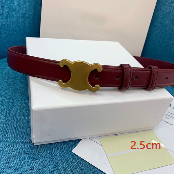 belts luxury designer belt classic style mens belt womens belts width 2.5cm can be cut by yourself length is great t2302034, Black;brown
belts luxury designer belt classic style mens belt womens belts width 2.5cm can be cut by yourself length is great t2302034, Black;brown