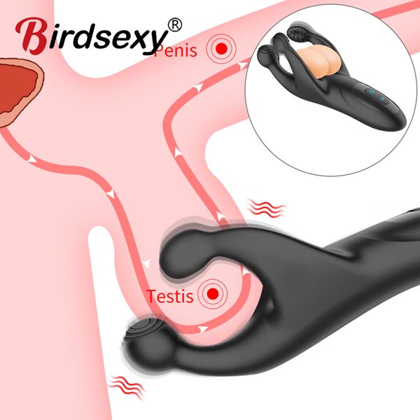 costumes testicle massager vibrators toy for men g spot stimulator prostate massager silicone goods for men couple erotic toy, Black
costumes testicle massager vibrators toy for men g spot stimulator prostate massager silicone goods for men couple erotic toy, Black
