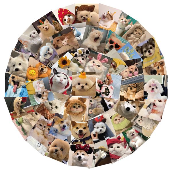 50pcs graffiti skateboard stickers pets cat dogs for car lapipad bicycle motorcycle helmet ps4 phone kids toys diy decals pvc guitar sticker
50pcs graffiti skateboard stickers pets cat dogs for car lapipad bicycle motorcycle helmet ps4 phone kids toys diy decals pvc guitar sticker