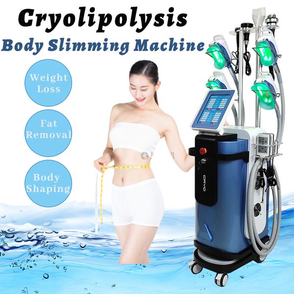 mini cryo heads double chin removal cryolipolisis slimming machine weight loss 40k ultrasonic cavitation fat reduction vertical equipment
mini cryo heads double chin removal cryolipolisis slimming machine weight loss 40k ultrasonic cavitation fat reduction vertical equipment