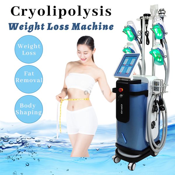 multifunctional slimming machine cryolipolysis fat ing weight loss equipment lipo laser diode body shaping salon use
multifunctional slimming machine cryolipolysis fat ing weight loss equipment lipo laser diode body shaping salon use