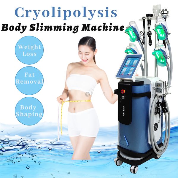 cryo machine cryolipolysis fat ing body slimming 40k rf cavitation skin tightening multifunctional use
cryo machine cryolipolysis fat ing body slimming 40k rf cavitation skin tightening multifunctional use