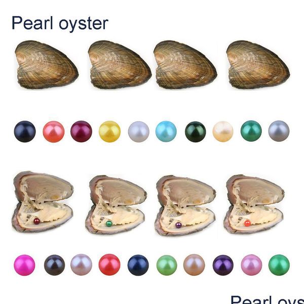 pearl round oyster pearl 67mm new 27 mix color big fresh water gift diy natural loose beads independent vacuum packaging wholesale d dhzxj, White
pearl round oyster pearl 67mm new 27 mix color big fresh water gift diy natural loose beads independent vacuum packaging wholesale d dhzxj, White