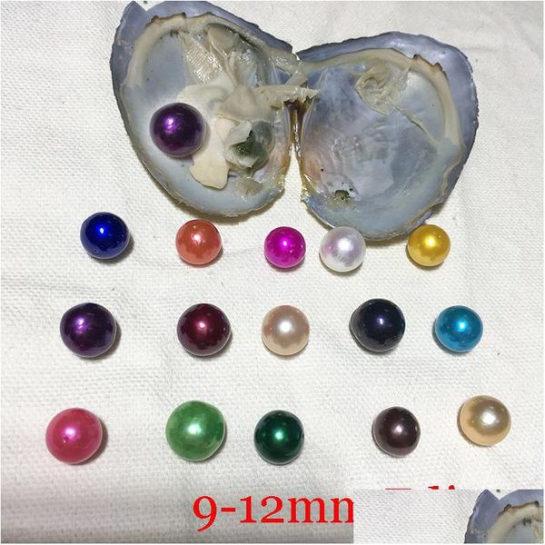 pearl diy 912mm freshwater oyster with single edison pearls mixed 16 colors circle natural pearl in vacuum package for d dhmgk, White
pearl diy 912mm freshwater oyster with single edison pearls mixed 16 colors circle natural pearl in vacuum package for d dhmgk, White