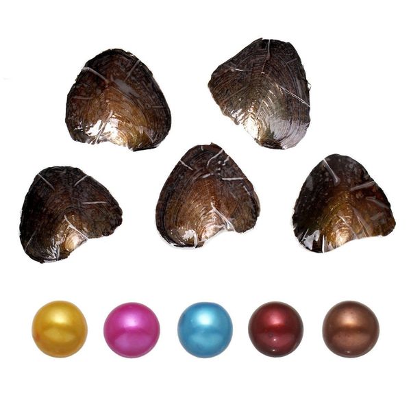 pearl akoya pearl oyster round 68mm colors freshwater natural ctured in fresh mussel farm supply wholesale drop delivery jewelry dhjpj, White
pearl akoya pearl oyster round 68mm colors freshwater natural ctured in fresh mussel farm supply wholesale drop delivery jewelry dhjpj, White