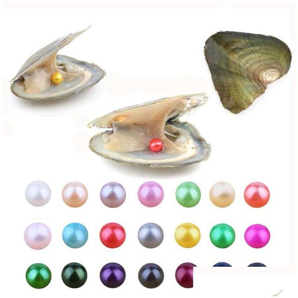 pearl wholesale new diy 25 colors round akoya 67mm single pearls oysters jewelry decorations vacuum packaging trend gift surprise dr dhlon, White
pearl wholesale new diy 25 colors round akoya 67mm single pearls oysters jewelry decorations vacuum packaging trend gift surprise dr dhlon, White