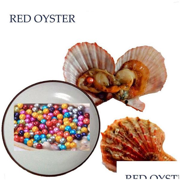 pearl wholesale diy 27 colors round akoya single pearls oysters 67mm individually wrapped great party gift red shell mussel drop del dhdy8, White
pearl wholesale diy 27 colors round akoya single pearls oysters 67mm individually wrapped great party gift red shell mussel drop del dhdy8, White