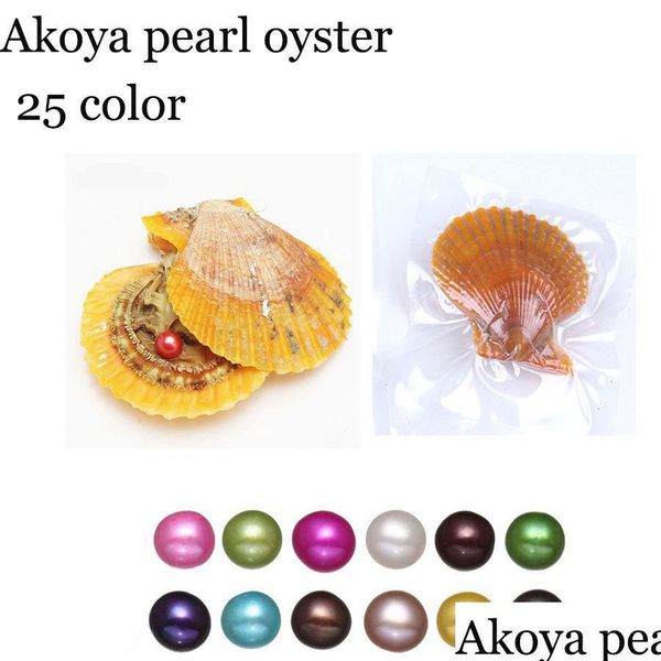 pearl wholesale red shell akoya 67mm mix colors seawater round pearl oyster for diy making necklace bracele earrings ring jewelry gi dhycs, White
pearl wholesale red shell akoya 67mm mix colors seawater round pearl oyster for diy making necklace bracele earrings ring jewelry gi dhycs, White
