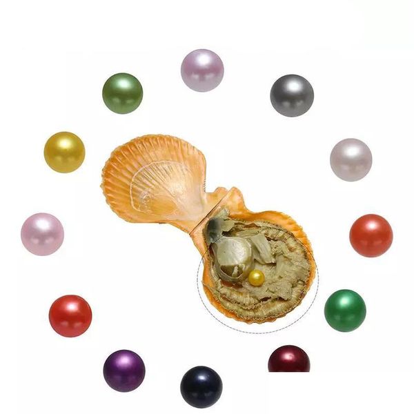 pearl wholesale diy 27 colors round akoya single pearls oysters 67mm individually wrapped great party gift red shell mussel jewelry dhyau, White
pearl wholesale diy 27 colors round akoya single pearls oysters 67mm individually wrapped great party gift red shell mussel jewelry dhyau, White