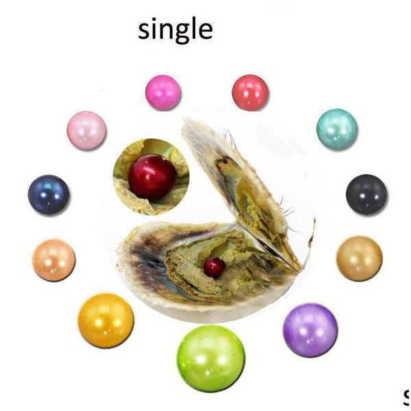 pearl wholesale akoya oyster pearl 67mm new 27 mix color big fresh water gift diy natural loose beads decorations vacuum packaging d dhfg9, White
pearl wholesale akoya oyster pearl 67mm new 27 mix color big fresh water gift diy natural loose beads decorations vacuum packaging d dhfg9, White