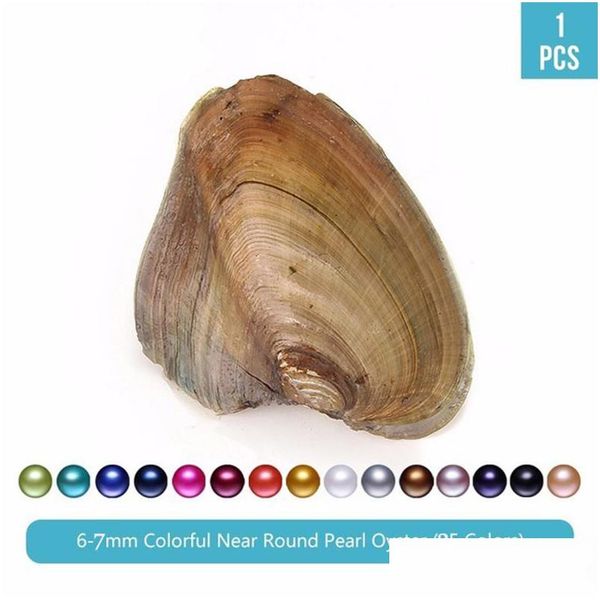 pearl wholesale natural akoya 67mm mix colors freshwater round pearl oyster for diy making necklace bracele earrings ring jewelry gi dhvgd, White
pearl wholesale natural akoya 67mm mix colors freshwater round pearl oyster for diy making necklace bracele earrings ring jewelry gi dhvgd, White