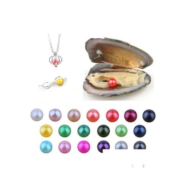 pearl diy 67mm akoya freshwater round pearls oyster loose beads ctured fresh pearl mussel farm supply drop gift surprise drop delive dhfzb, White
pearl diy 67mm akoya freshwater round pearls oyster loose beads ctured fresh pearl mussel farm supply drop gift surprise drop delive dhfzb, White