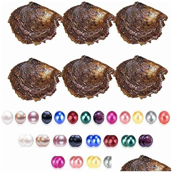 pearl seawater diy pearls oysters 25 colors oyster with vacuumpacking luxury jewelry birthday gift for women drop delivery dhsbt, White
pearl seawater diy pearls oysters 25 colors oyster with vacuumpacking luxury jewelry birthday gift for women drop delivery dhsbt, White