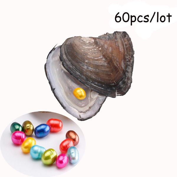 pearl natural pearl freshwater ctured oyster with 79 mm oval 20 color diy birthday gifts vacuumpacked jewellery drop delivery jewelry dh6n7, White
pearl natural pearl freshwater ctured oyster with 79 mm oval 20 color diy birthday gifts vacuumpacked jewellery drop delivery jewelry dh6n7, White
