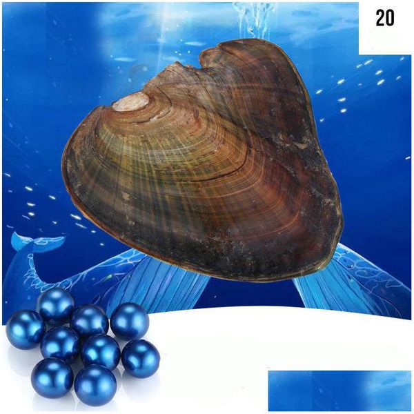 pearl natural 67mm freshwater akoya oyster with single pearls mixed 25 colors circle pearl in vacuum package for drop de dhzwt, White
pearl natural 67mm freshwater akoya oyster with single pearls mixed 25 colors circle pearl in vacuum package for drop de dhzwt, White