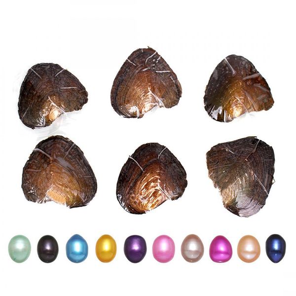 pearl wholesale new diy akoya pearl oyster oval 68mm colors freshwater natural ctured in fresh mussel farm supply drop delivery jewel dhcnq, White
pearl wholesale new diy akoya pearl oyster oval 68mm colors freshwater natural ctured in fresh mussel farm supply drop delivery jewel dhcnq, White
