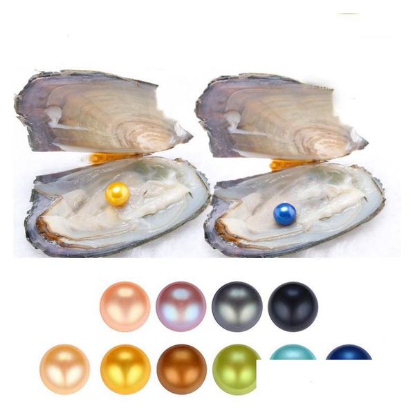 pearl wholesale akoya oyster pearl 67mm round in oysters shell with colouf pearls jewelry by vacuum packed for women drop delivery dhkb9, White
pearl wholesale akoya oyster pearl 67mm round in oysters shell with colouf pearls jewelry by vacuum packed for women drop delivery dhkb9, White