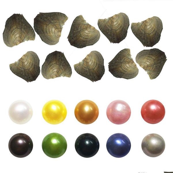 pearl wholesale new diy akoya 25 color love freshwater shell pearl oyster 67mm with vacuum packaging drop delivery jewel dhmfp, White
pearl wholesale new diy akoya 25 color love freshwater shell pearl oyster 67mm with vacuum packaging drop delivery jewel dhmfp, White