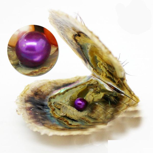 pearl diy 67mm round akoya pearls oyster 27 mixed colors natural grade mussel jewelry making trend gift surprise drop delivery dhmwa, White
pearl diy 67mm round akoya pearls oyster 27 mixed colors natural grade mussel jewelry making trend gift surprise drop delivery dhmwa, White
