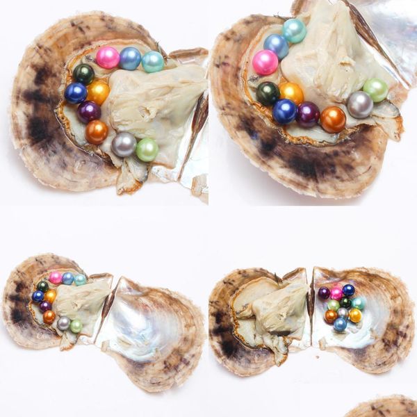 pearl south sea pearl oyster new round 67mm colors seawater natural ctured in fresh mussel farm supply wholesale drop delivery jewelr dh0a6, White
pearl south sea pearl oyster new round 67mm colors seawater natural ctured in fresh mussel farm supply wholesale drop delivery jewelr dh0a6, White