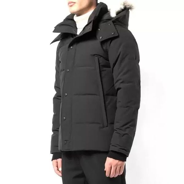 men's down parkas mens down jacket g coat real big wolf fur c overcoat clothing casual fashion style winter outerwear outdoor parka 221, Black
men's down parkas mens down jacket g coat real big wolf fur c overcoat clothing casual fashion style winter outerwear outdoor parka 221, Black