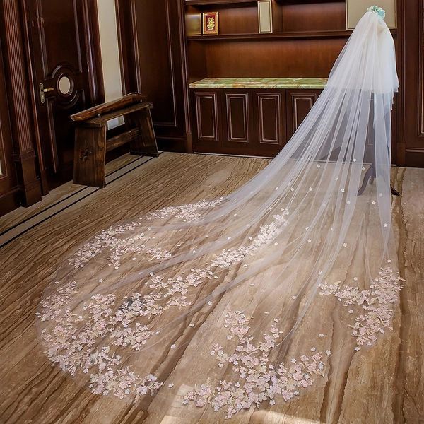 two layers wedding veil luxurious lace with pink flowers long appliques blusher cathedral floral bridal veils with comb 2 tiers, Black
two layers wedding veil luxurious lace with pink flowers long appliques blusher cathedral floral bridal veils with comb 2 tiers, Black