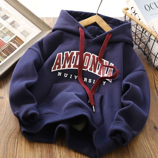 boys hoodies autumn kids pullover warm sweatshirt children for baby girls streetwear 3-12years, Blue
boys hoodies autumn kids pullover warm sweatshirt children for baby girls streetwear 3-12years, Blue