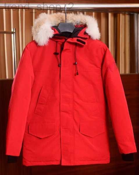 down down jacket men's parkas designer jacket autumn and winter new style mid-length 90% white goose jackets fashionable high-end cloth, Black
down down jacket men's parkas designer jacket autumn and winter new style mid-length 90% white goose jackets fashionable high-end cloth, Black