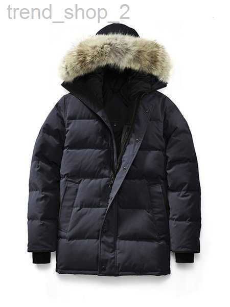men's down parkas mens jackets canadian parka winter waterproof cloth men wolf fur jacket hooded fourrure outwear raccoon furs warm coa, Black
men's down parkas mens jackets canadian parka winter waterproof cloth men wolf fur jacket hooded fourrure outwear raccoon furs warm coa, Black